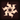 Arcane DA2