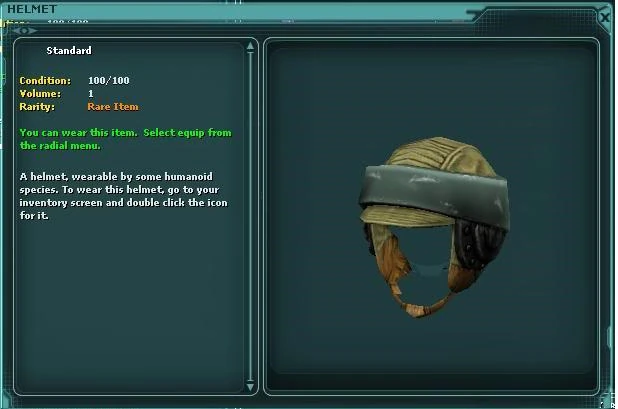 Helmet-rls.jpg
