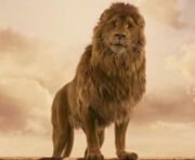 Aslan2