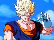 SsjVegeto
