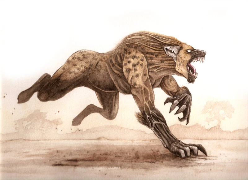 Werehyena - Warriors Of Myth Wiki