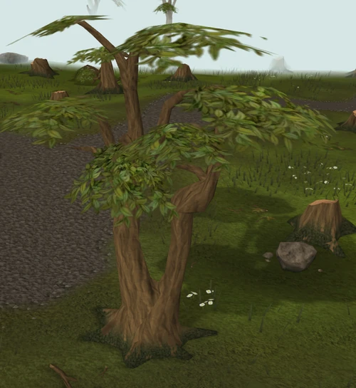 Trees RuneScape Wiki Wikia