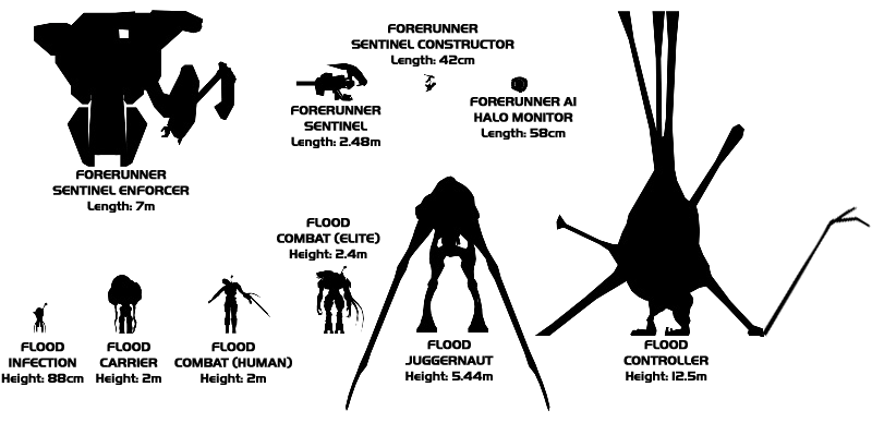types of flood halo