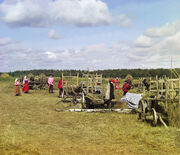Gorskii 04422u