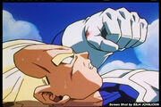 Cell Saga Vegeta