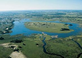 Okavango delta(www okavango info)