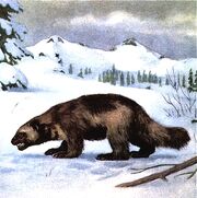 Wolverine scene