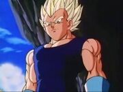 Vegeta is grim