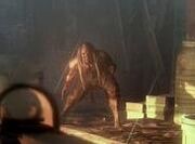 Crouched Butcher