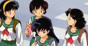 Kagome-friends