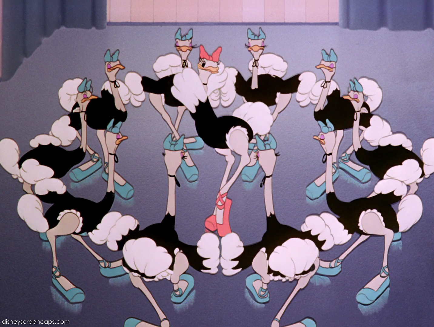 Ostriches Fantasia DisneyWiki ostriches-fantasia-disneywiki