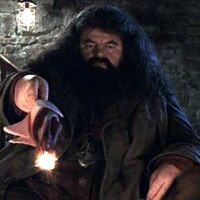 Hagrid wand