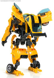 R bumblebee-075