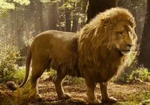 518px-Aslan-PC