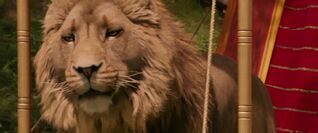 Aslan22
