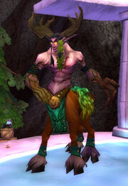 CenariusSOM