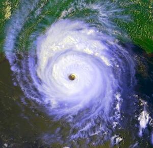 Hurricane Andrew