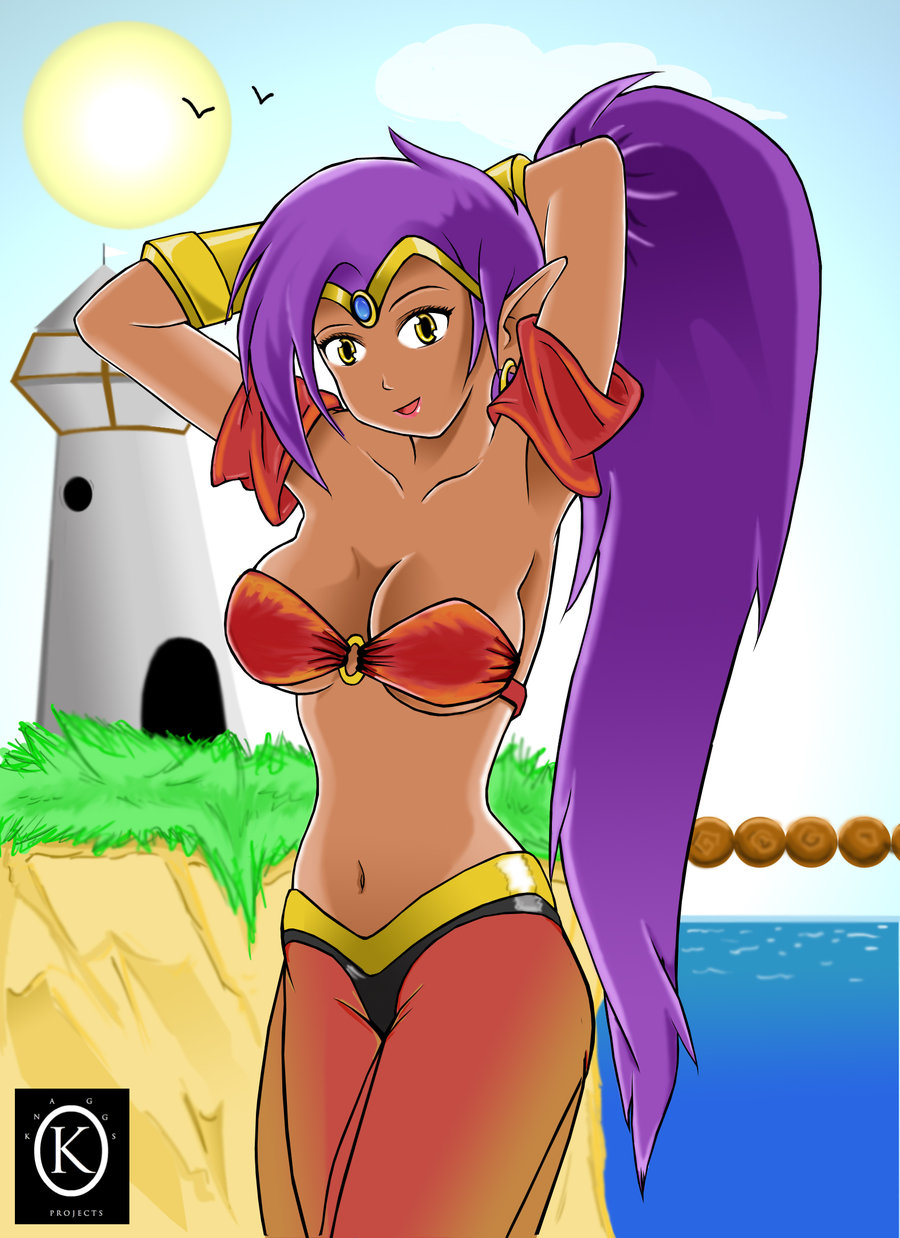 Image Sexy Shantae By Jk Shade Shantae Wiki