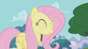 FANMADE Fluttershy in Dragonshy