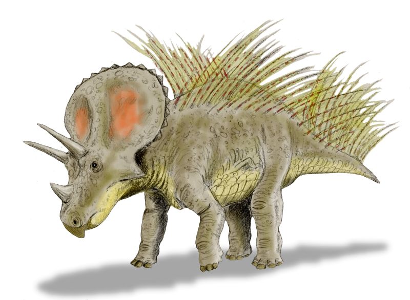 feathered triceratops