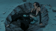 Soifon defeated