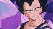 Vegeta Understands