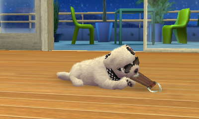 Image - -Nintendogs Cats- 011.jpg - Nintendogs Wiki Image - -Nintendogs Cats- 011.jpg - Nintendogs Wiki