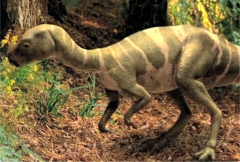 hypsilophodon jurassic park