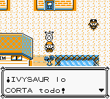 Corte 01 RAAm