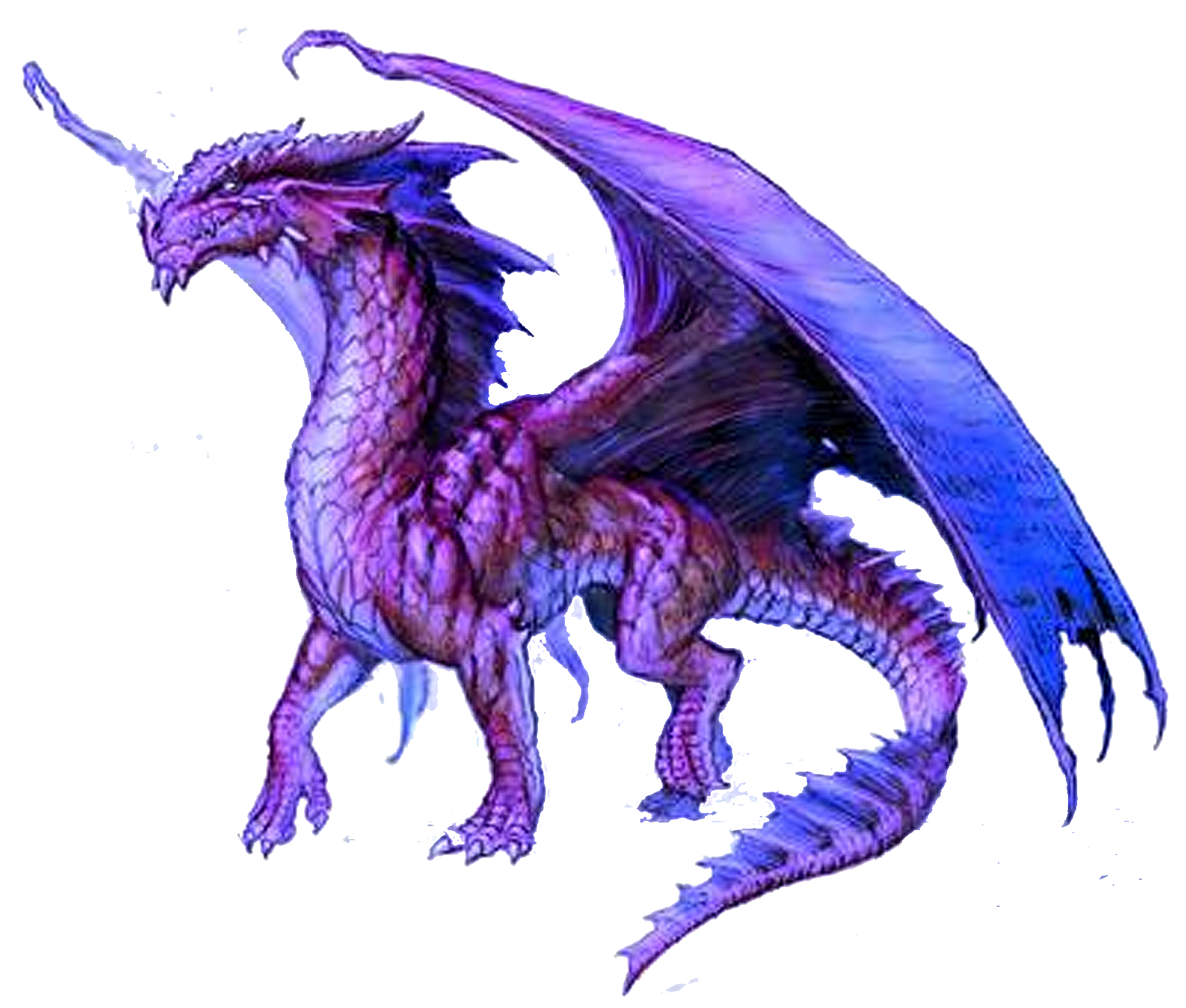 Purple-dragon.png