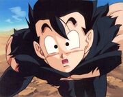 Gohan and Buu