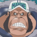 Gorilla portrait