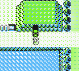 Entrada Cueva Diglett RAAm