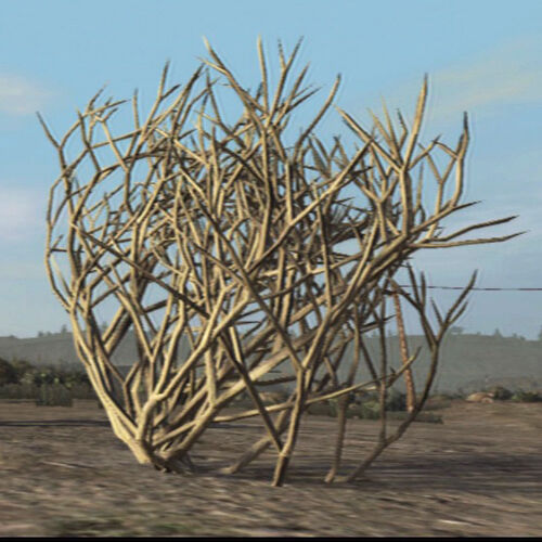 Image - Tumbleweed-plant.jpg - Red Dead Redemption Wiki