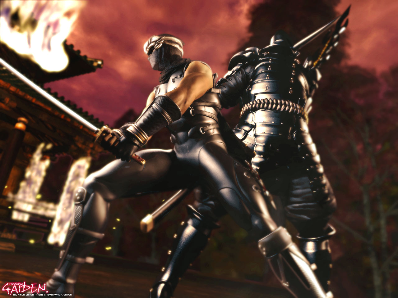 Ryu Hayabusa Ninja Gaiden Black Wiki