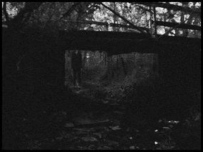 Slender forest 4.png (98 KB) Slender forest 4