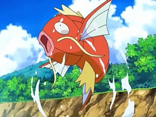 life size magikarp