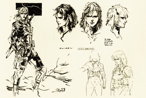 Raiden Pro