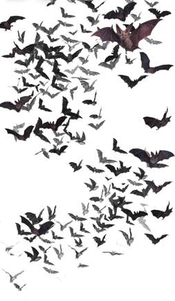 Image - Swarm of Bats.png - Vampire Wars Wiki - Vampire Wars by Zynga