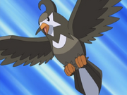 Ash Staravia