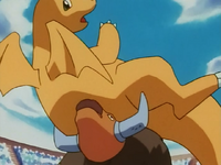 Ash Tauros Dragonite