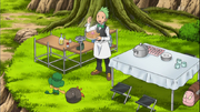 Cilan cooking Pokemon Food