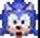 Sonicsurprised.gif