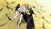 Ep339 IchigosaveRukia