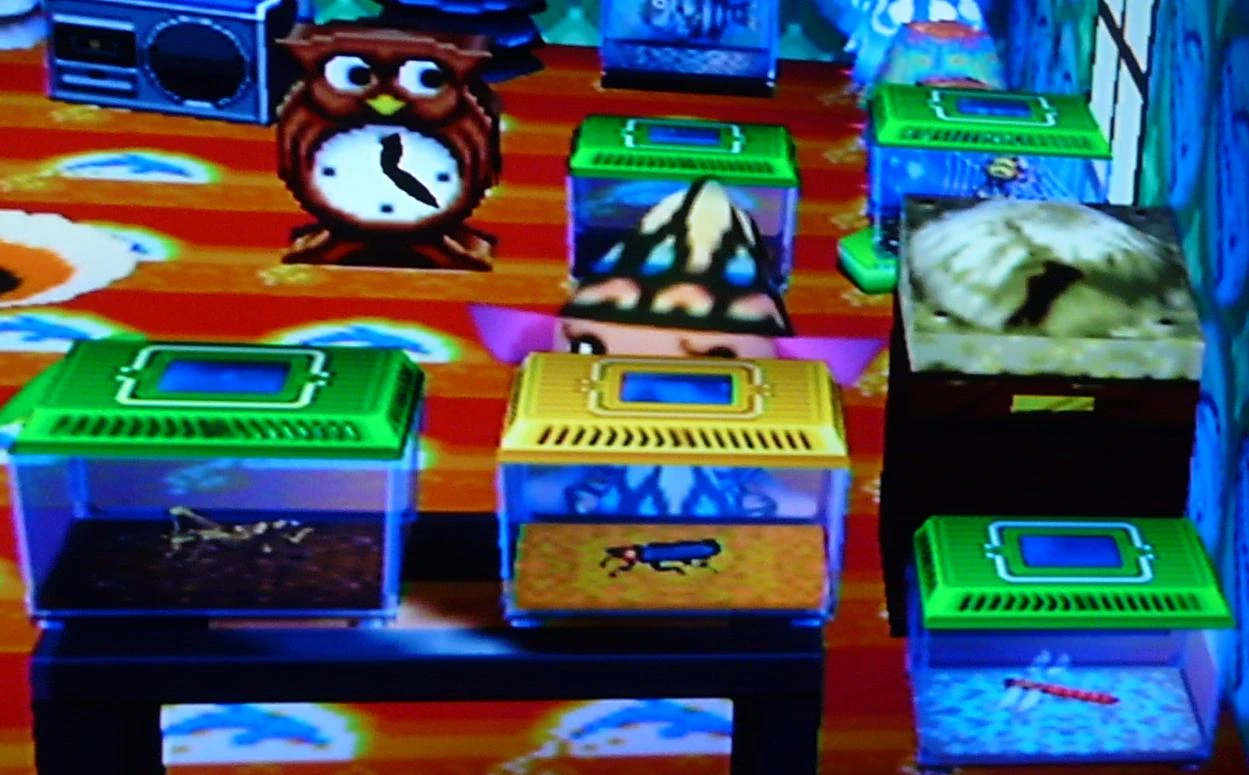 Bug Cage Animal Crossing Wiki