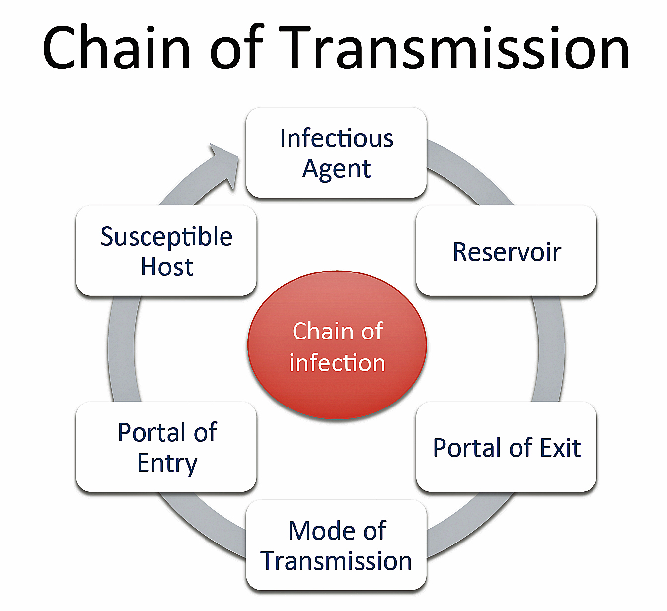 Image Chain Of Transmission Disease Detectives Wiki 