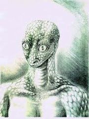 Asw reptoid