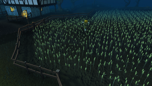 Grain Field