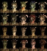 463px-ArgonianCompilation-620x