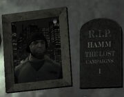 Hamm